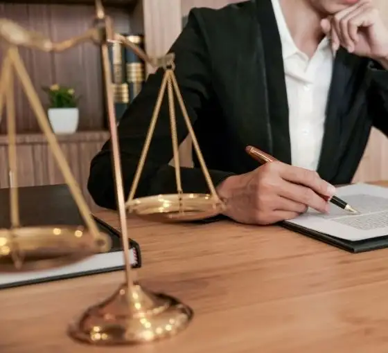 Dragos Göç Danışmanı