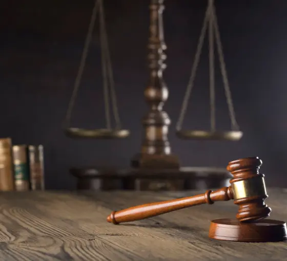 Dragos Göç Danışmanlığı